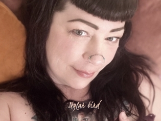Skylar_bird