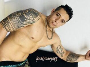 Spartacusguyy