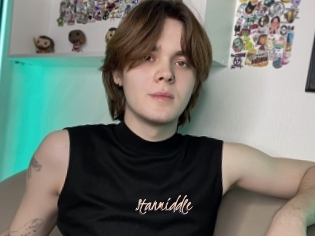 Stanmiddle