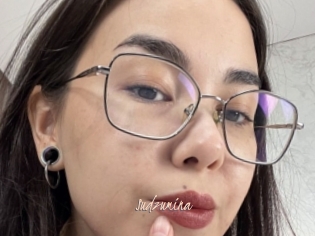 Sudzumina