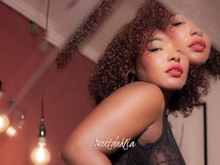 Sweetdahlia