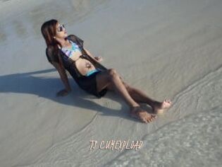 TS_CUMEXPLOAD