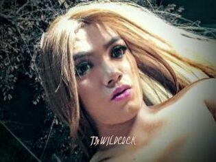 TSxWILDC0CK
