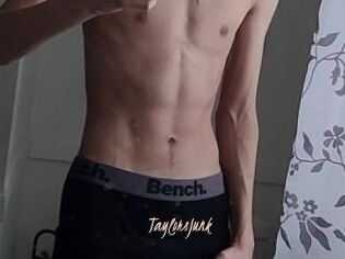 TaylorsJunk