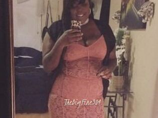TheBigFine304