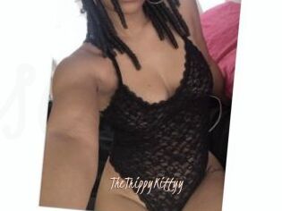 TheTrippyKittyy