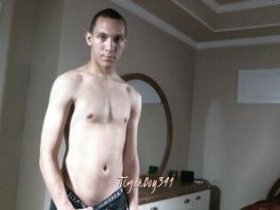TigerBoy341