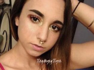 TinyAngryTiger