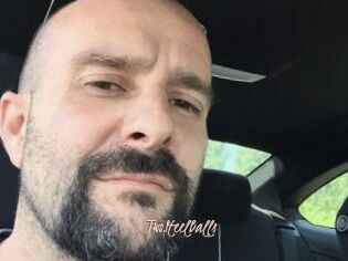 TwoSteelBalls
