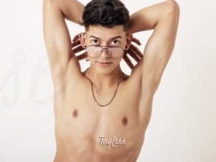 taylerr Sexenmacht