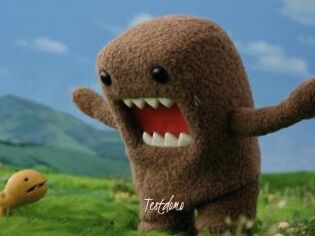 Testdomo
