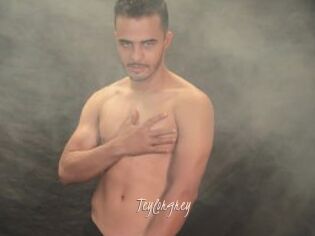 Teylorgrey