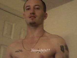 Theregulator91