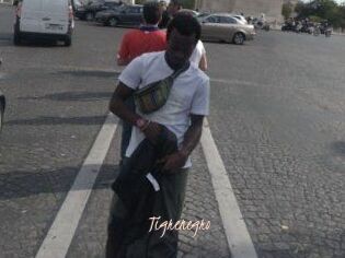 Tigrenegro