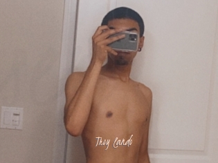 Troy_lando