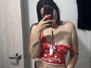 Vanellopebellerose