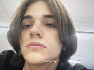 Vikiegrey