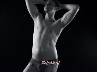 WalterSteel