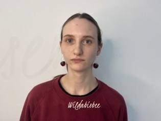 Wildabisbee