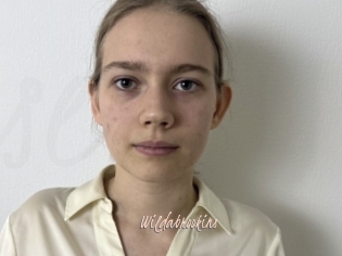 Wildabrookins