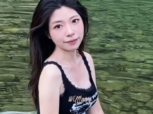 Willfang