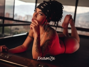 Ximenamiler