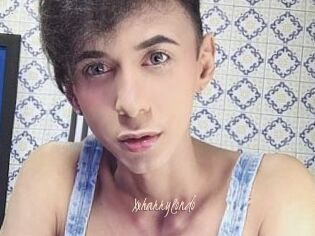Xxharrylondo