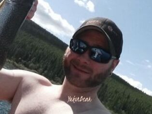 YukonBear