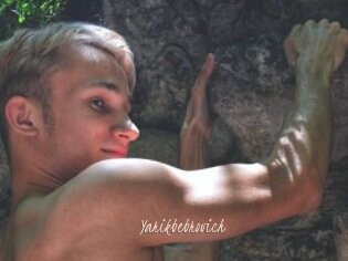 Yarikbebrovich
