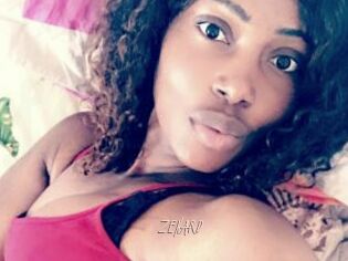 ZENARD
