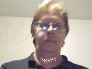 Ziggy2020