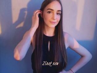Zinet_new