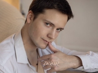 zackneal Sexenmacht