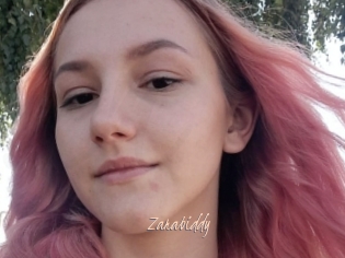 Zarabiddy