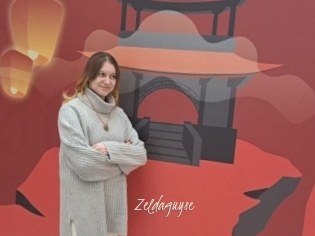 Zeldaguyse