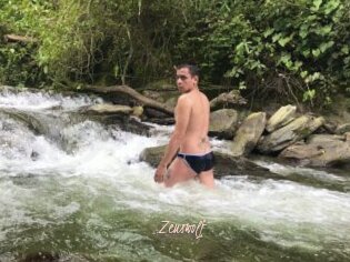 Zeuswolf