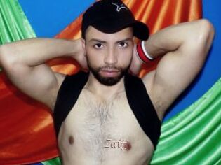 Zevit