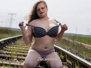 Zhaiaginger